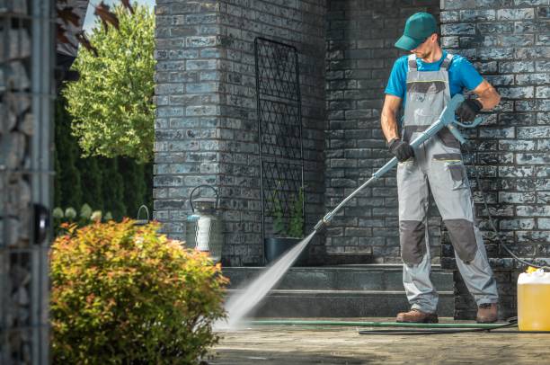 Best Sign and Awning Cleaning  in Elsa, TX